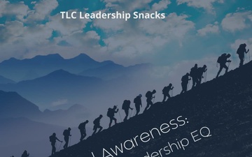 Leadership Snacks; Increasing Leadership EQ