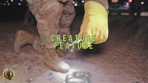 Creature Feature | Video News Story