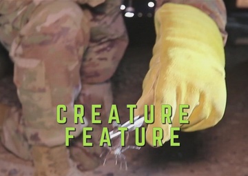 Creature Feature | Video News Story