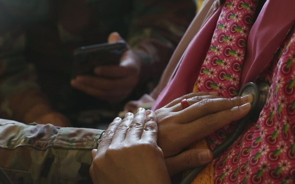 Shared Accord MEDREX - Day 4