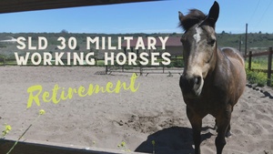 The Sun Sets on Vandenberg's Military Working Horse Program- Video