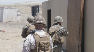 B-Roll: 1st CEB Marines participate in Sapper Leaders Course