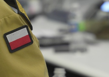 Polish Delegates Visit IEMA