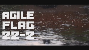 Agile Flag 22-2
