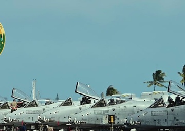 RIMPAC 2022: Tucson Warthogs Inhabit Hawaii