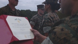 Three Marines, Three Medals