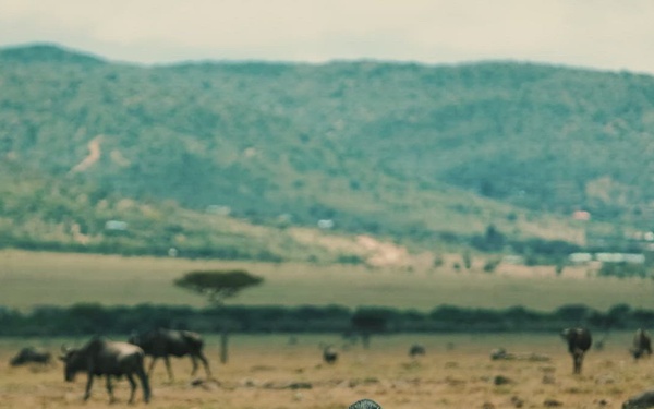 Boaz's Benevolent Service