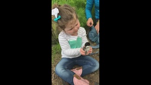 Army engineers partner for 25 years with federal biologists to study duck nesting ecology in Alaska