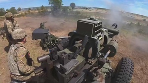 M119A3 Howitzer Firing - Northern Strike 22 (Social Media)