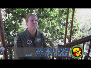 LNO Working Group Interview with Col. Beth Lane