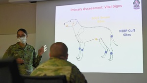 MWD TCCC BROLL