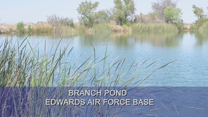 An Outdoor Escape: Branch Pond on Edwards AFB gets stocked with hundreds of fish for fall fishing season