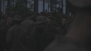 3/6 Company Attacks B-roll
