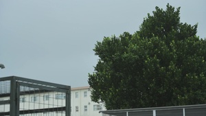 18th CES cleans up after Typhoon Hinnamnor - B-roll Package pt.1