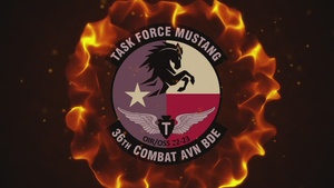 Task Force Eagle Transfer of Authority to Task Force Mustang