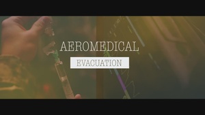 375th Aeromedical Evacuation