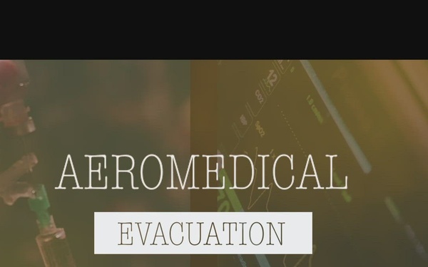 375th Aeromedical Evacuation