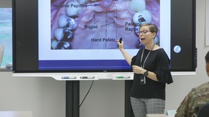 Army Dental Services - Civilians