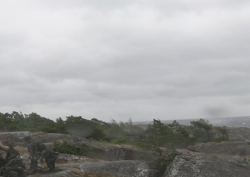 U.S and Swedish Marines Conduct Live Fire Demonstration