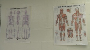 Diego Garcia Physical Therapy Technician