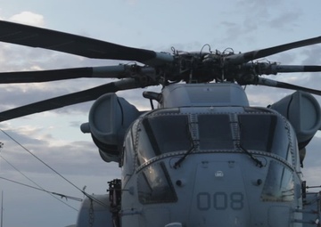 The King Stallion's First Exercise