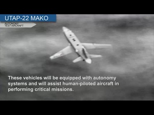 Autonomous Attritable Aircraft Experiment - AAAx