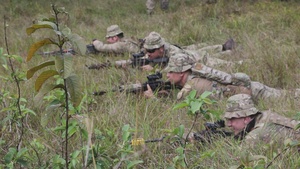 Exercise Cartwheel 2022 Jungle Training