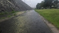 Typhoon Nanmadol - B-Roll Package