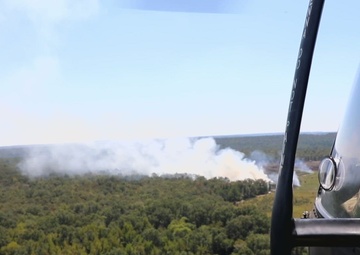 Bambi Buckets Drop It Where It's Hot