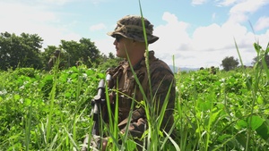 Kamandag 22 Ambush Tactics and Martial Arts B-roll