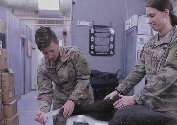 Training to save canine lives