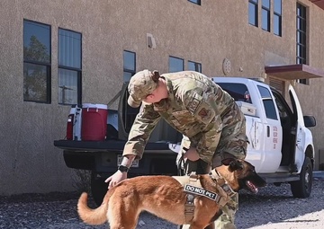 Do Not Pet B-Roll stringer part 2