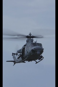 Resolute Dragon 22: Bilateral Diving Fire Reel