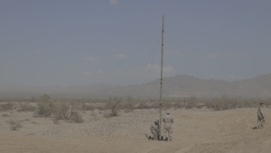 WTI 1-23: TACP Conducts CAS