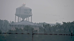 Wolf Pack flies at dawn
