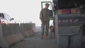 An unbreakable bond: 386th ESFS Airmen train to forge bond with Military Working Dogs