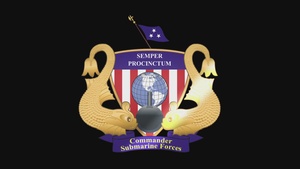 Submarine Force Video