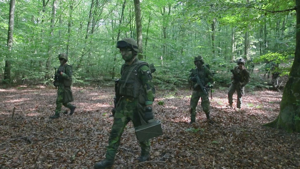 DVIDS - Video - U.S., Swedish RAID B-Roll