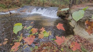 Fall 2022 Scenes at Trout Falls at Fort McCoy's Pine View Recreation Area