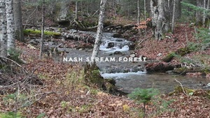 Innovative Readiness Training synergizes NHARNG aviation with local preservation efforts