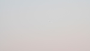 Desert Double Down (Part 2 of 2)