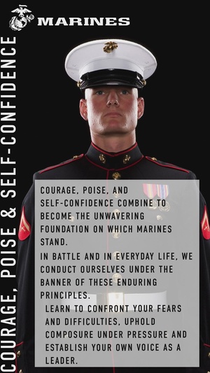Benefit Tag - Courage, Poise & Self-Confidence