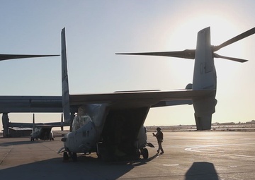 WTI 1-23: AST-4 Night Raid