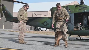 Military Working Dogs participate in UH-1N Huey training (B-Roll)