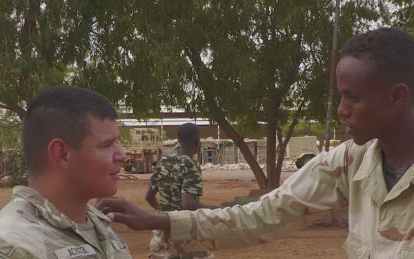CLEAN COPY of 221101-VIC_AFNE_SFAB in Djibouti and NY National Guard