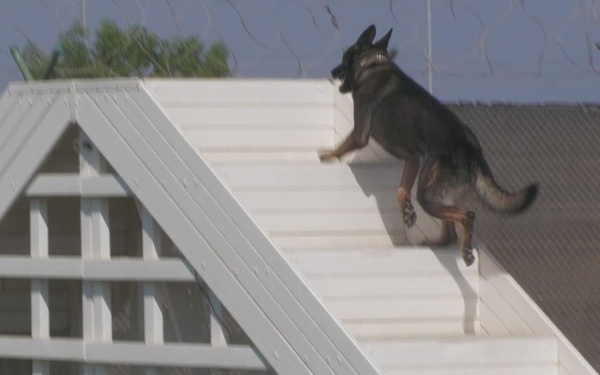 Camp Lemmonier B-roll