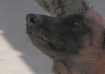 221101-VIC_AFNE_CLDJ K9 unit