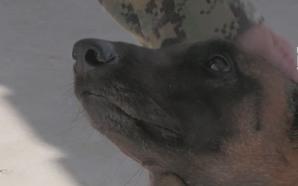 221101-VIC_AFNE_CLDJ K9 unit