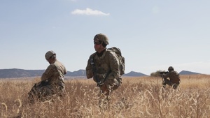 244th Engineer Battalion Best Squad Competition