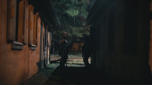 Paratroopers Take Fire JRTC